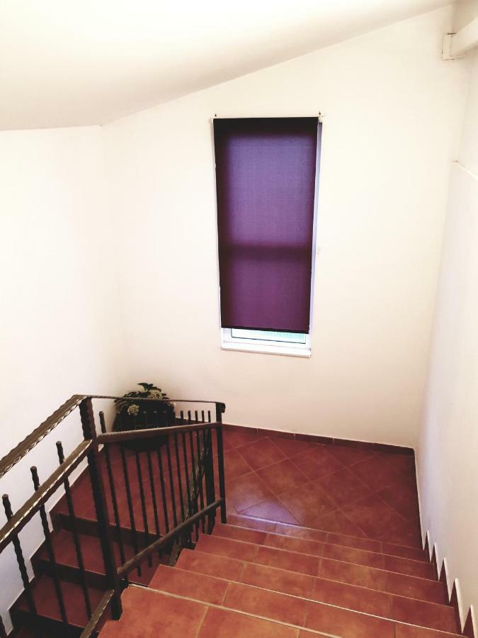 Apartments Petrovic ピロヴァッツ エクステリア 写真